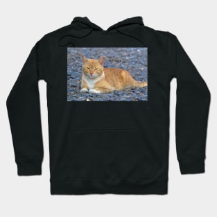 Kitty Friend Hoodie